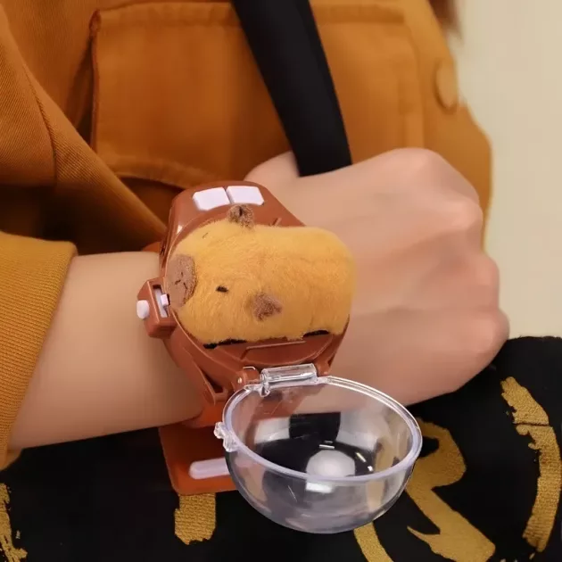 car watch, rc car watch